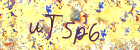 Security image. You must enable images to sign guestbook